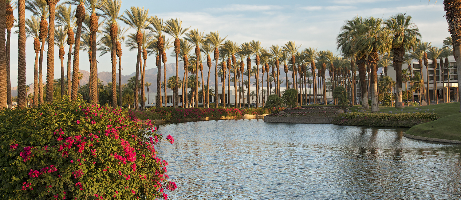 Explore Attractions In Palm Springs